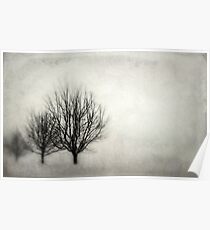 Winter in Matsqui Poster