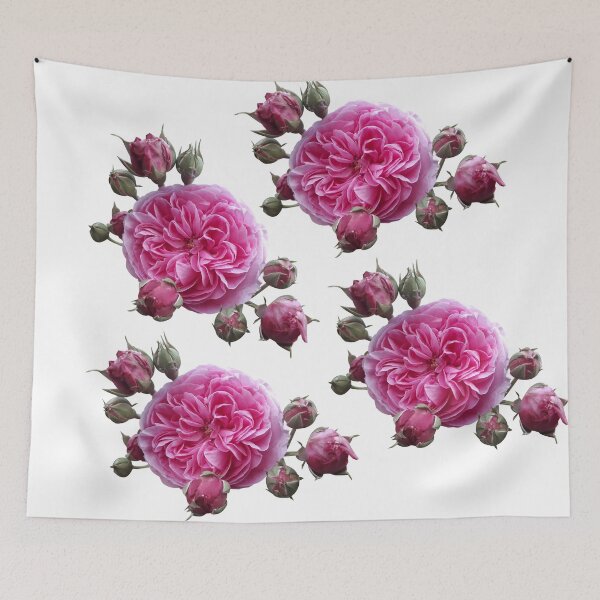 Item preview, Pink Rose - Old Style Rose designed and sold by AgaSilva.