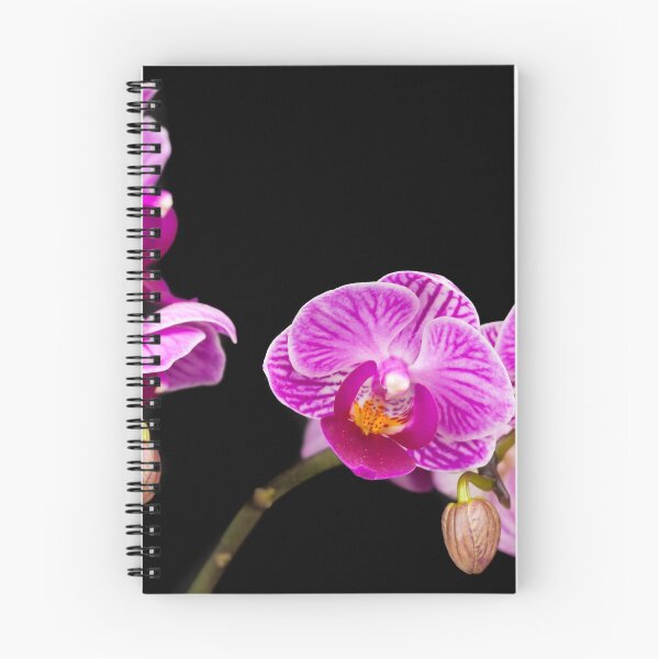 Item preview, Pink Orchids designed and sold by Platslee.