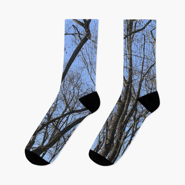 Item preview, Autumn Trees designed and sold by Tender Flower Clothing.