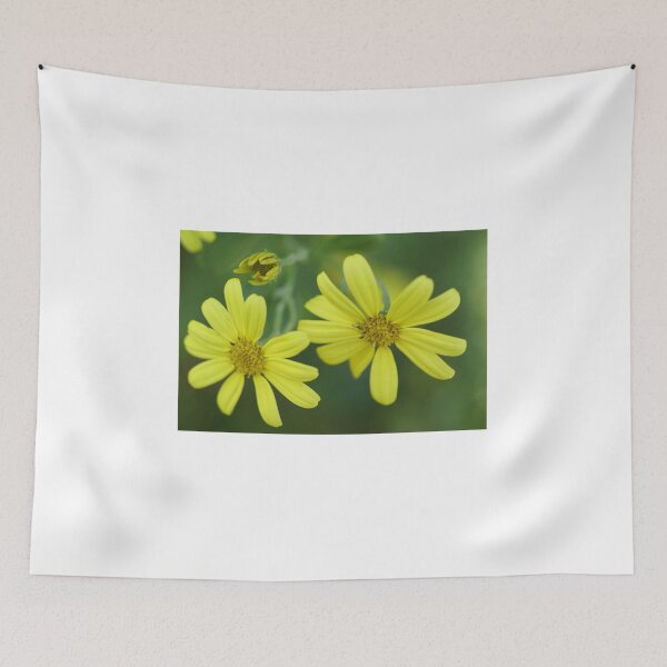 Item preview, PLEASURE designed and sold by Michelle Lee Blatt.