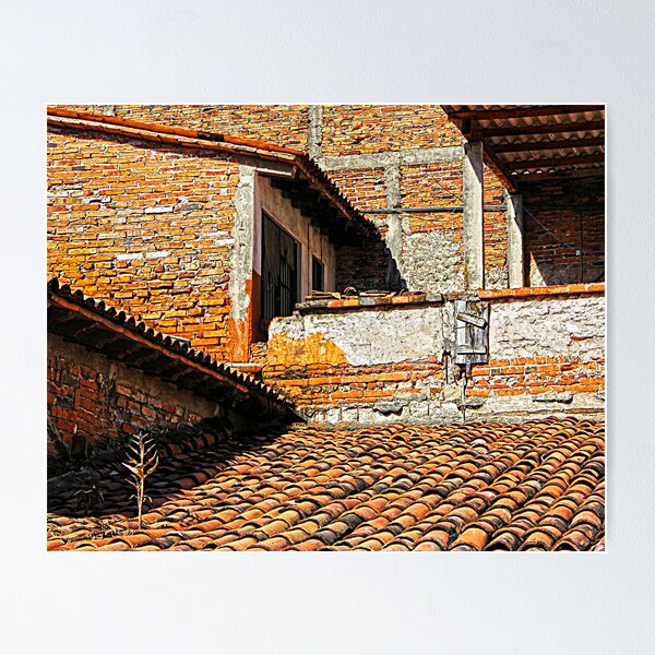 Aperçu de l'œuvre The Roof créée et vendue par Rob Atkinson.