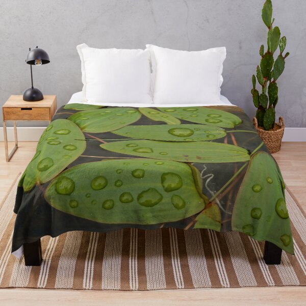 Item preview, Water Droplets on Leaves designed and sold by HilaryLeslie.
