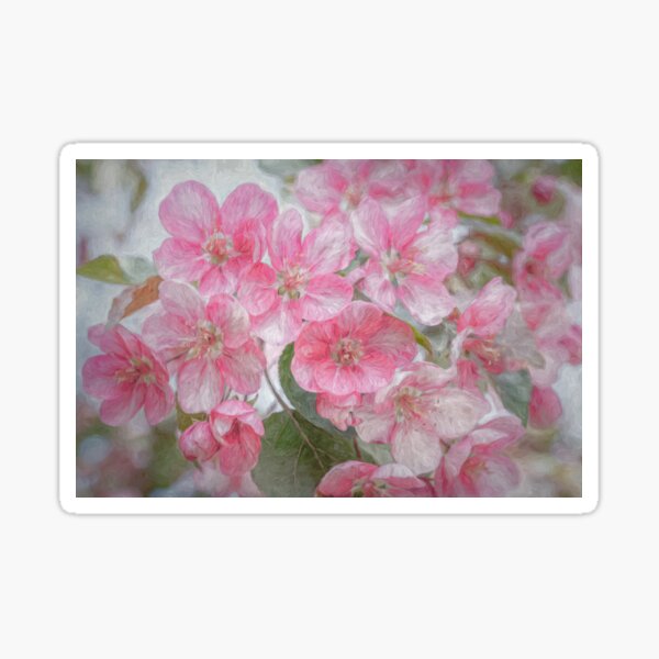 Item preview, Apple Blossoms designed and sold by Sylvia Labelle.