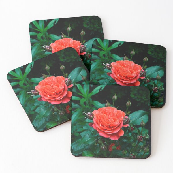 Item preview, First Bloom designed and sold by Ramina-Nymph.