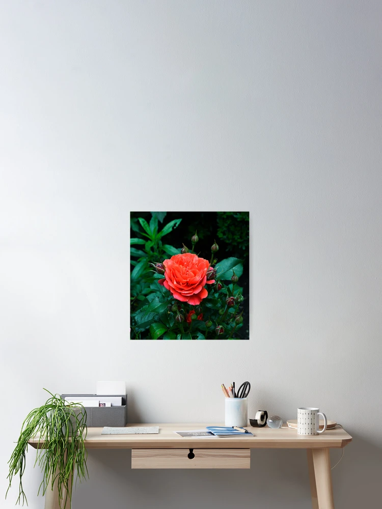 Thumbnail 2 of 3, Poster, First Bloom designed and sold by Ramina-Nymph.