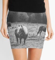 Blondes Mini Skirt