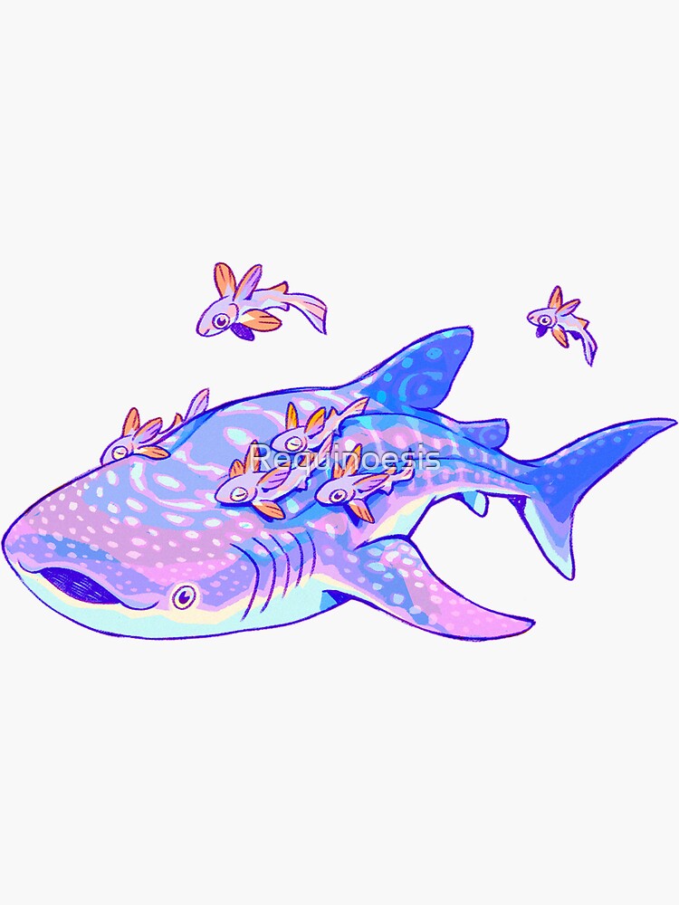 "Whale Shark Anatomy" Sticker for Sale by Requinoesis | Redbubble