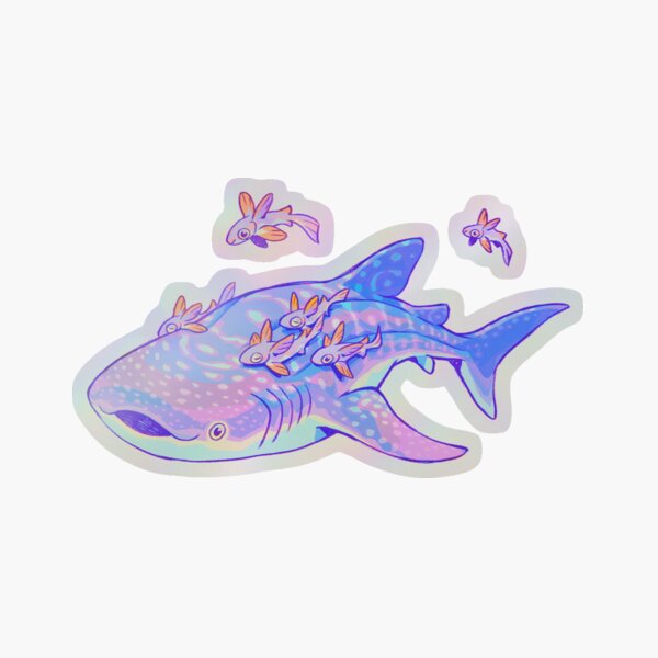 Item preview, Whale Shark Anatomy designed and sold by Requinoesis.