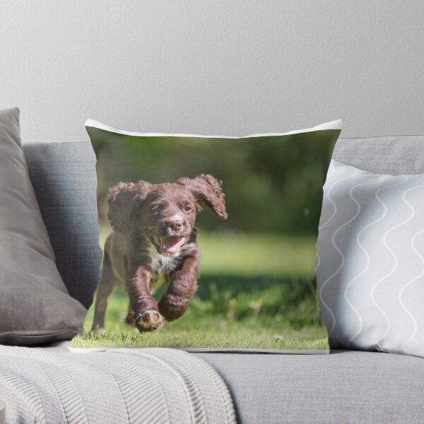 Item preview, Puppy Running in the Sun designed and sold by Platslee.