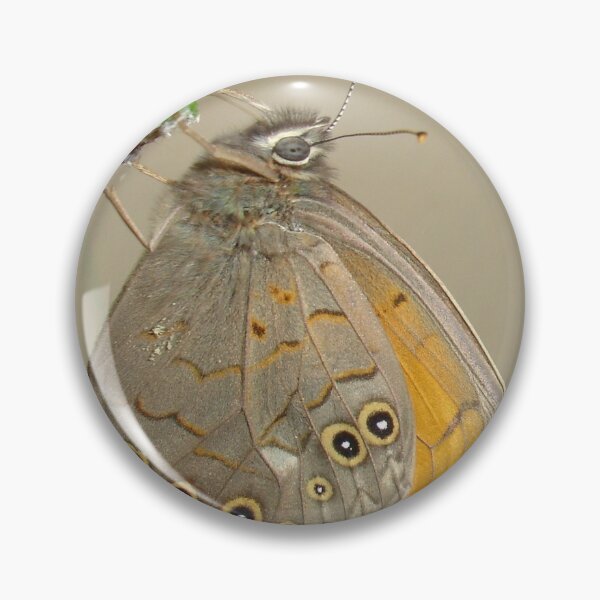 Item preview, Meadow Brown Butterfly Feeding On Aphids designed and sold by taiche.
