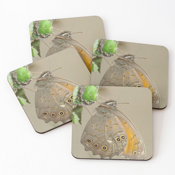 Item preview, Meadow Brown Butterfly Feeding On Aphids designed and sold by taiche.