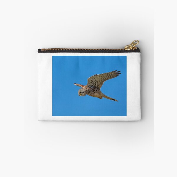 Item preview, Hovering Kestrel designed and sold by Platslee.
