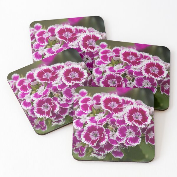 Item preview,  Carthusian carnation designed and sold by Katja LebenFreude.