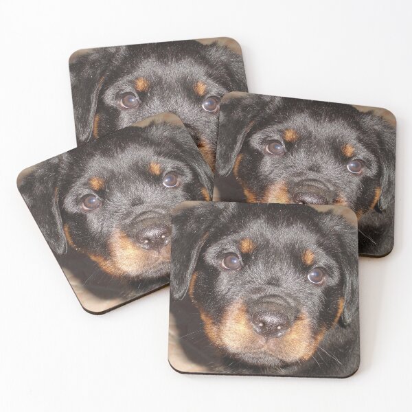 Item preview, Adorable Rottweiler Puppy Making Eye Contact designed and sold by taiche.