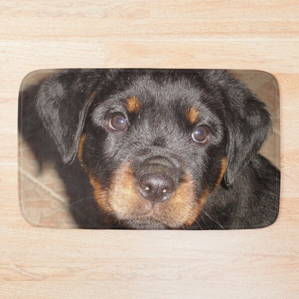 Item preview, Adorable Rottweiler Puppy Making Eye Contact designed and sold by taiche.