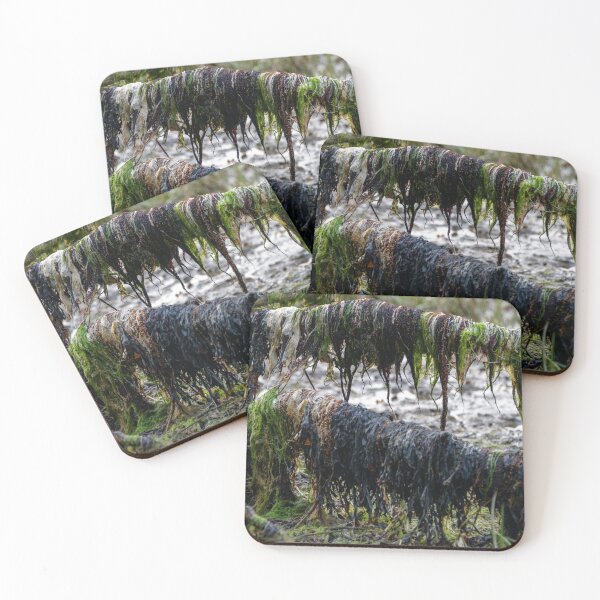 Item preview, Weeds Abstract designed and sold by Svetlana Sewell.