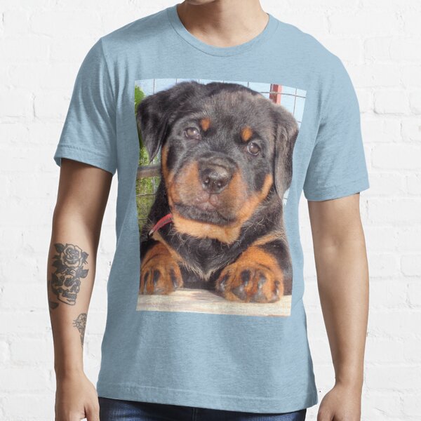 rottweiler clothing uk