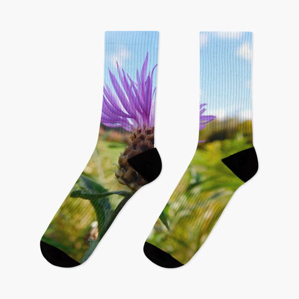 Item preview, Purple Flower in Vermont designed and sold by HilaryLeslie.
