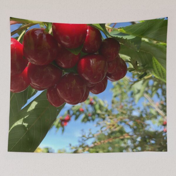 Item preview, Cherry Falls designed and sold by Tender Flower Clothing.