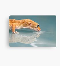 Tony Montana Canvas Print