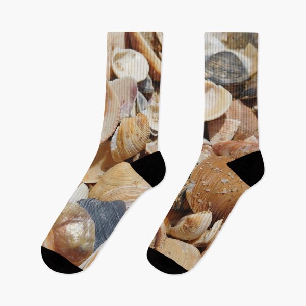 Item preview, Shells on Spanish Beach  designed and sold by HilaryLeslie.