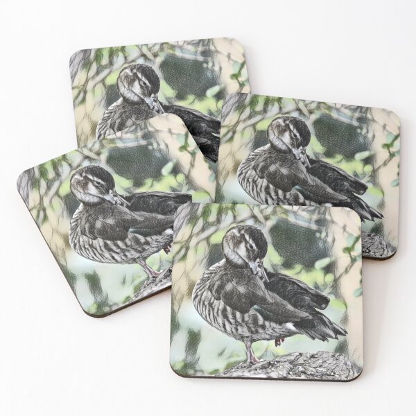 Item preview, Preening Duck designed and sold by ReneeKennedy.