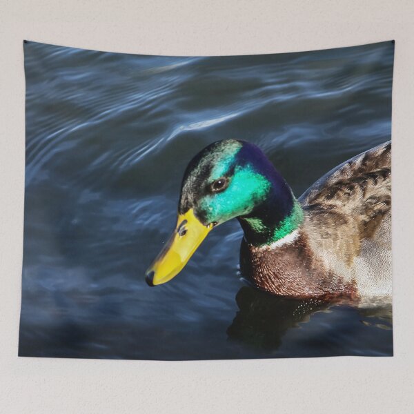 Item preview, Swimming Duck  designed and sold by heatherfriedman.
