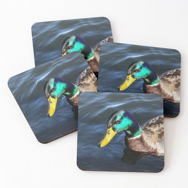 Item preview, Swimming Duck  designed and sold by heatherfriedman.