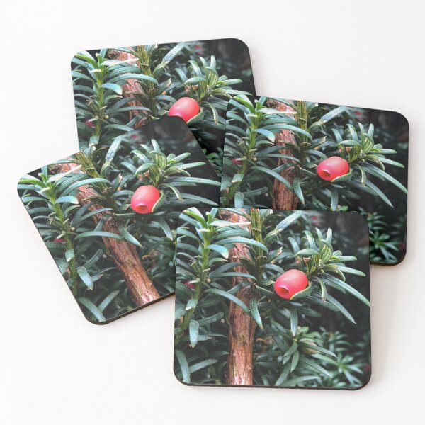 Item preview, Yew Tree Berries designed and sold by smileyface624.