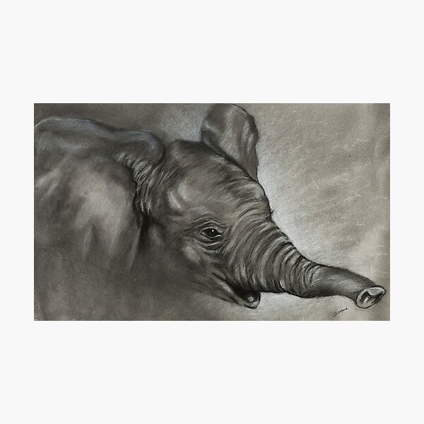 Item preview, Study of an Elephant designed and sold by Molly Lombard.