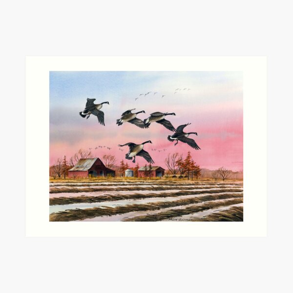 Chow Time For Canadas Art Print