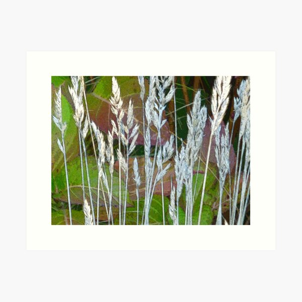 Artikelvorschau, Grasses  entworfen und verkauft von Antoinette B.