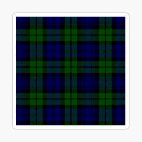 Bannatyne Clan Half Of Tartan Hoodie main image 1