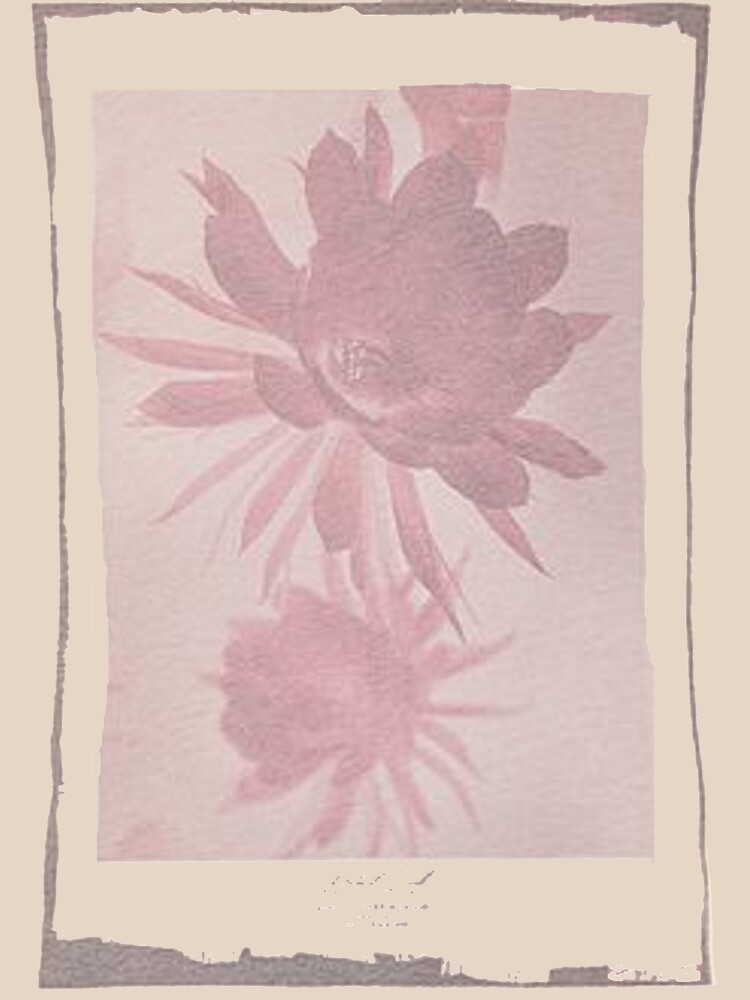 12th Doctor Negative Flower T-Shirt by TimeyWimeySpacy