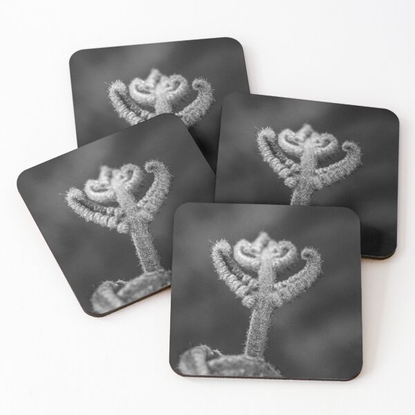 Item preview, Black and White fern designed and sold by ChloePorter17.