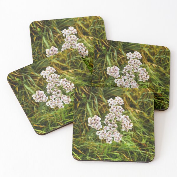 Aperçu de l'œuvre Fleurs blanches sur l'herbe verte créée et vendue par smileyface624.