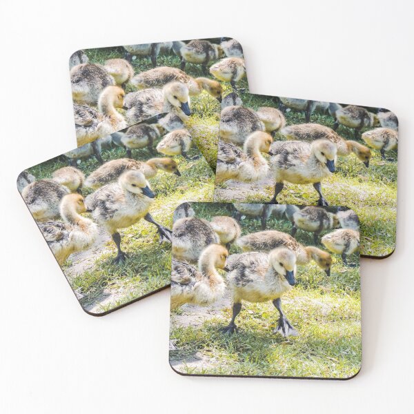 Item preview, Baby Geese designed and sold by ChloePorter17.