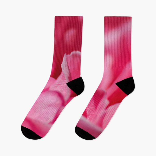 Item preview, Close up/macro pink rose petals designed and sold by ChloePorter17.