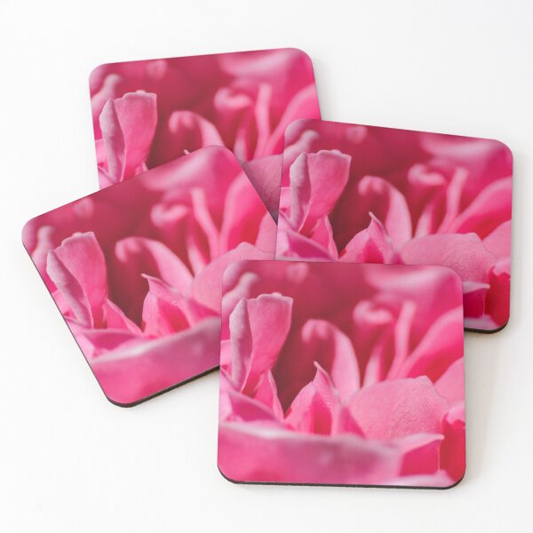 Item preview, Macro/Close up pink rose petals designed and sold by ChloePorter17.