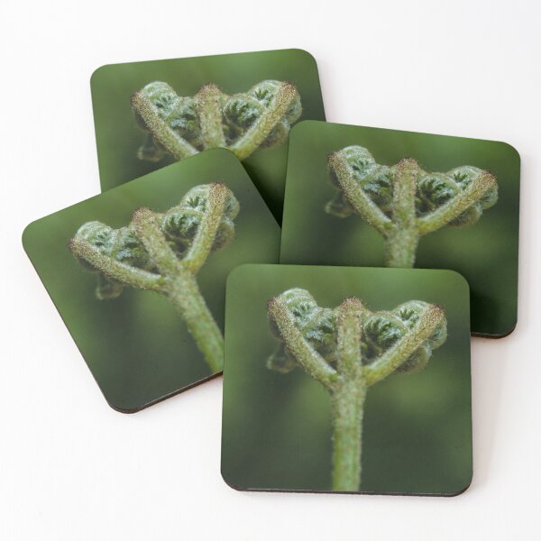 Item preview, Macro/close up fern designed and sold by ChloePorter17.