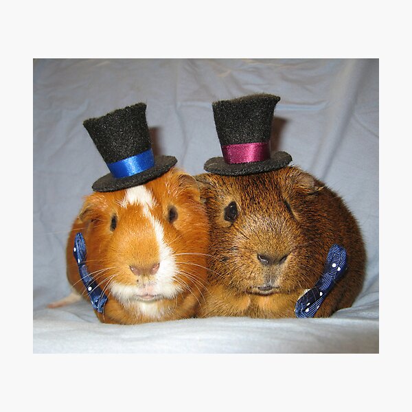 Item preview, Gentlepigs designed and sold by shiro.