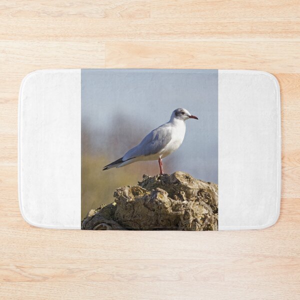 Item preview, Black-headed Gull (Larus ridibundus) designed and sold by Andy Harker.