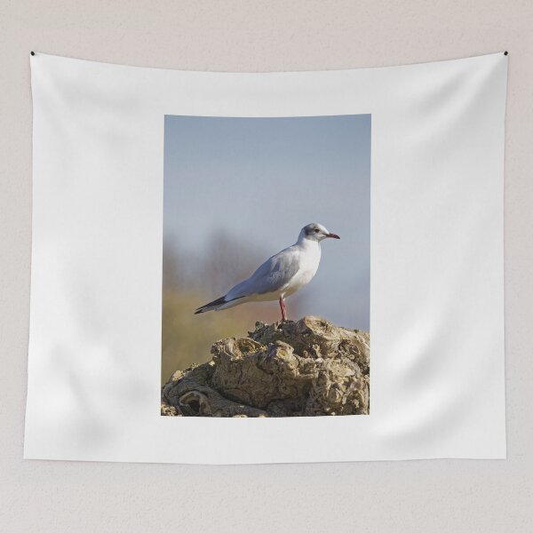 Item preview, Black-headed Gull (Larus ridibundus) designed and sold by Andy Harker.
