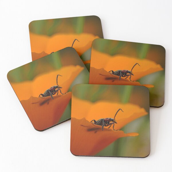 Item preview, Macro/ Close up beetle insect designed and sold by ChloePorter17.