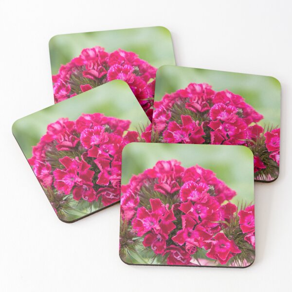 Item preview, Carnation designed and sold by Katja LebenFreude.