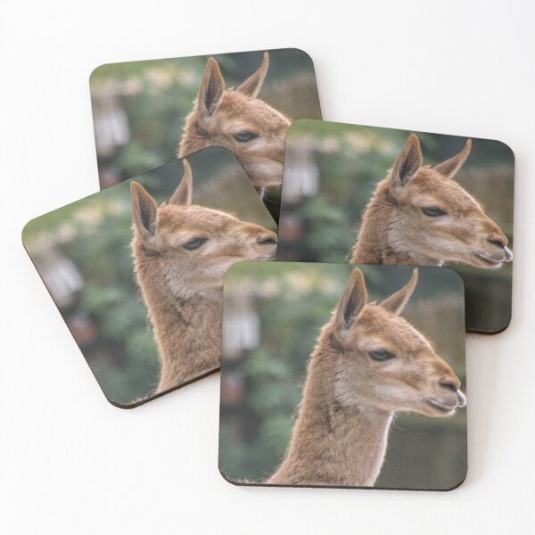 Item preview, Vicuna portrait  designed and sold by KcsArt87.