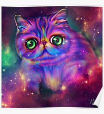 Rainbow kitty Poster