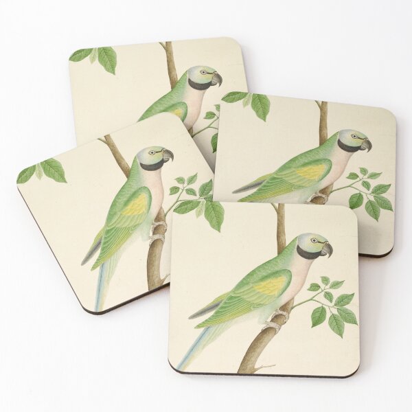 Item preview, Green Parrot Painting, 1820 designed and sold by Vintage Wall Art.