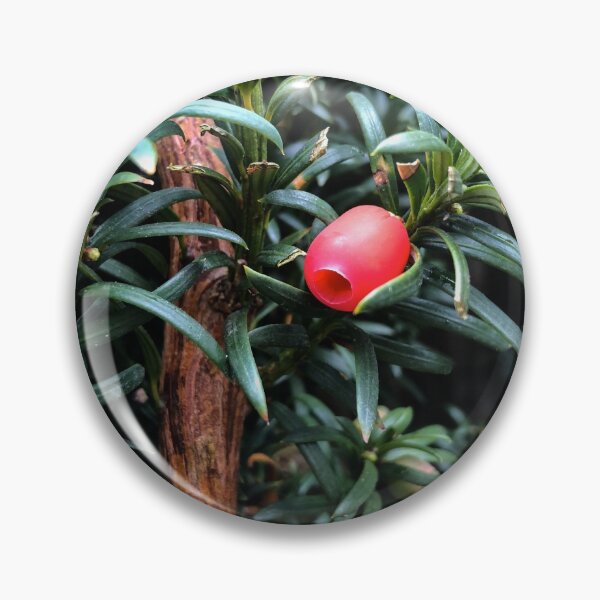 Item preview, Yew Tree Berries designed and sold by smileyface624.